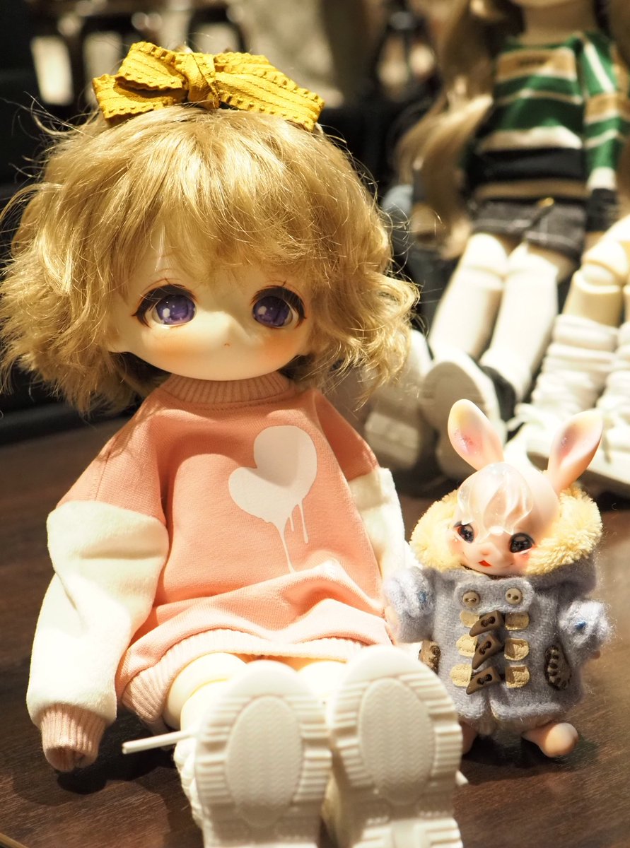 なんか日本語おかしいな…
このこが本当にかわいくて眼福でした💘