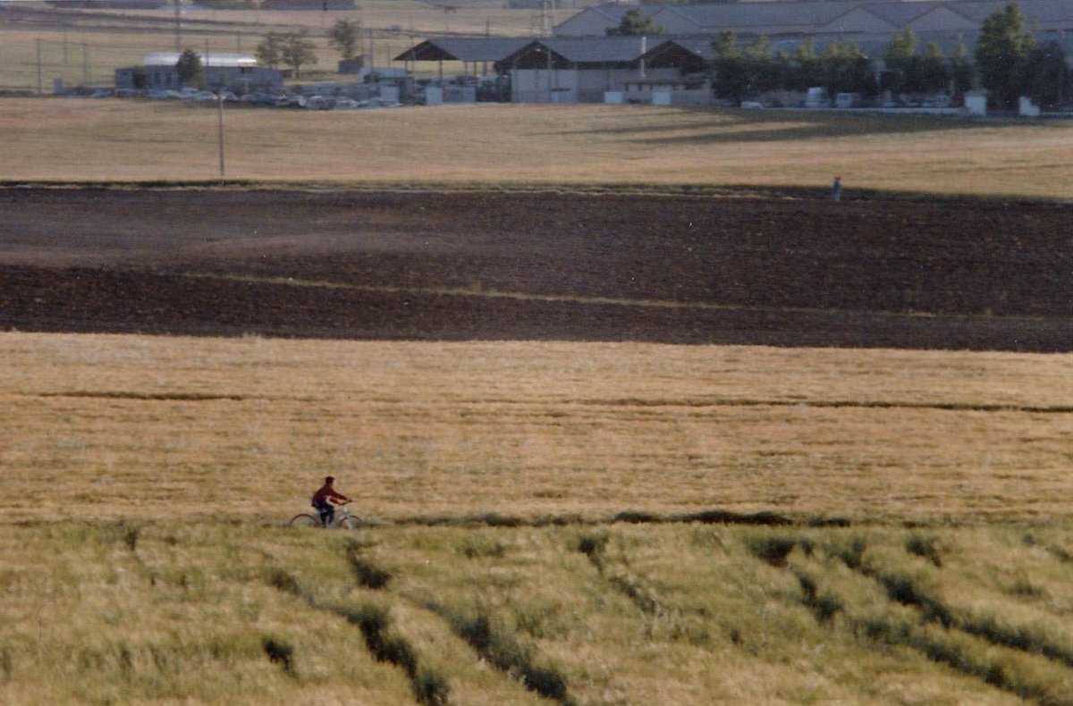 Amigos de la Historia de Móstoles (AHIMOS) tweet media
