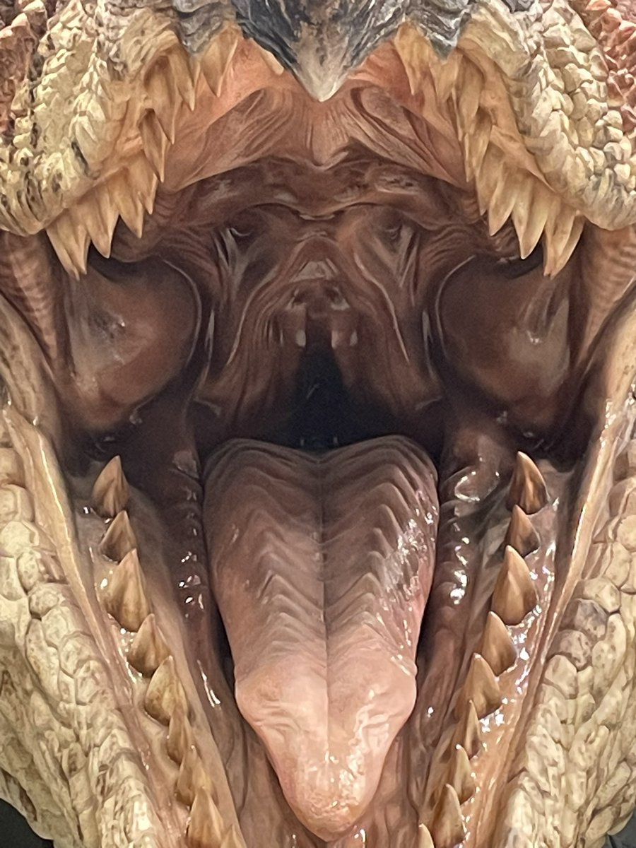 シャナオ tweet media