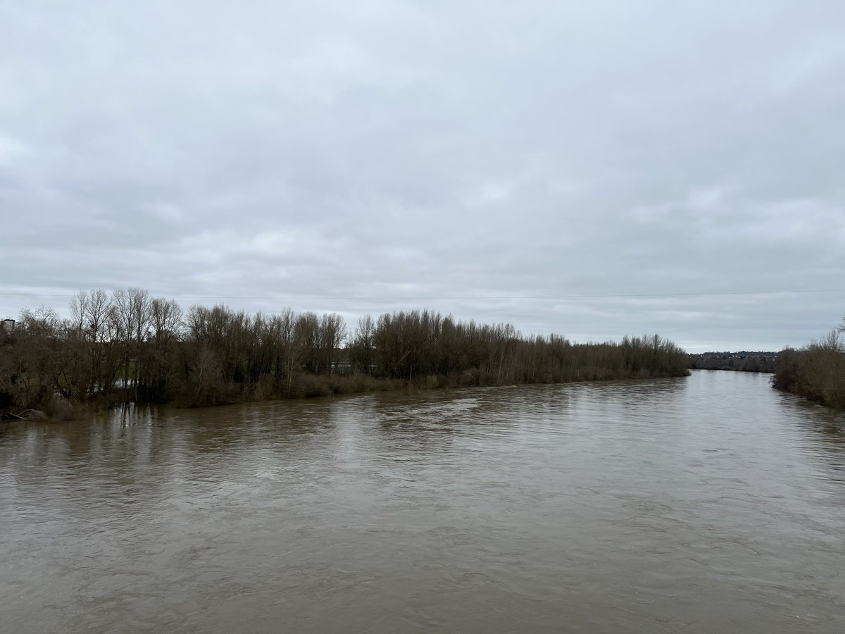 Nathalie Perchat tweet media