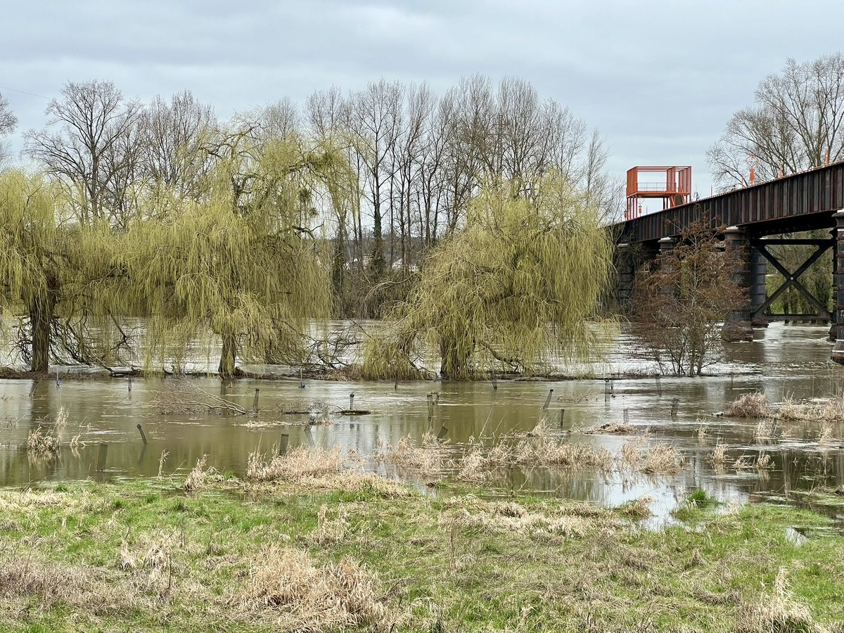 Nathalie Perchat tweet media