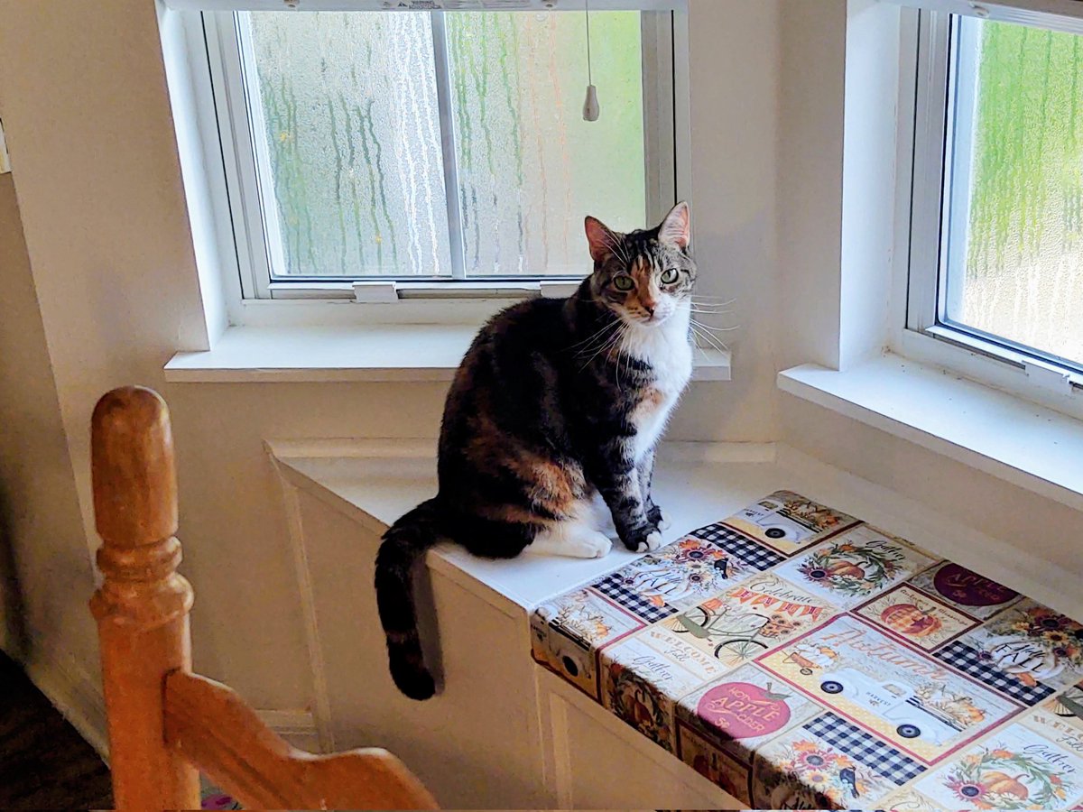 Good morning from the farm.