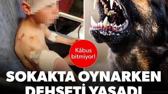 <a href="/omurgedik/">Ömür Gedik</a> İşte sadece kedinin, köpeğin, kuşun, kelebeğinkini hissediyorsunuz.. 
Çocuğun, bebeğin masumiyetini, yıllarca bin bir emekle büyütülmüş insan evladının medeni yaşam hakkını içinizde hissedemiyorsunuz. 
Size,kendi türünüzü de sevmek nasip olur inşAllah