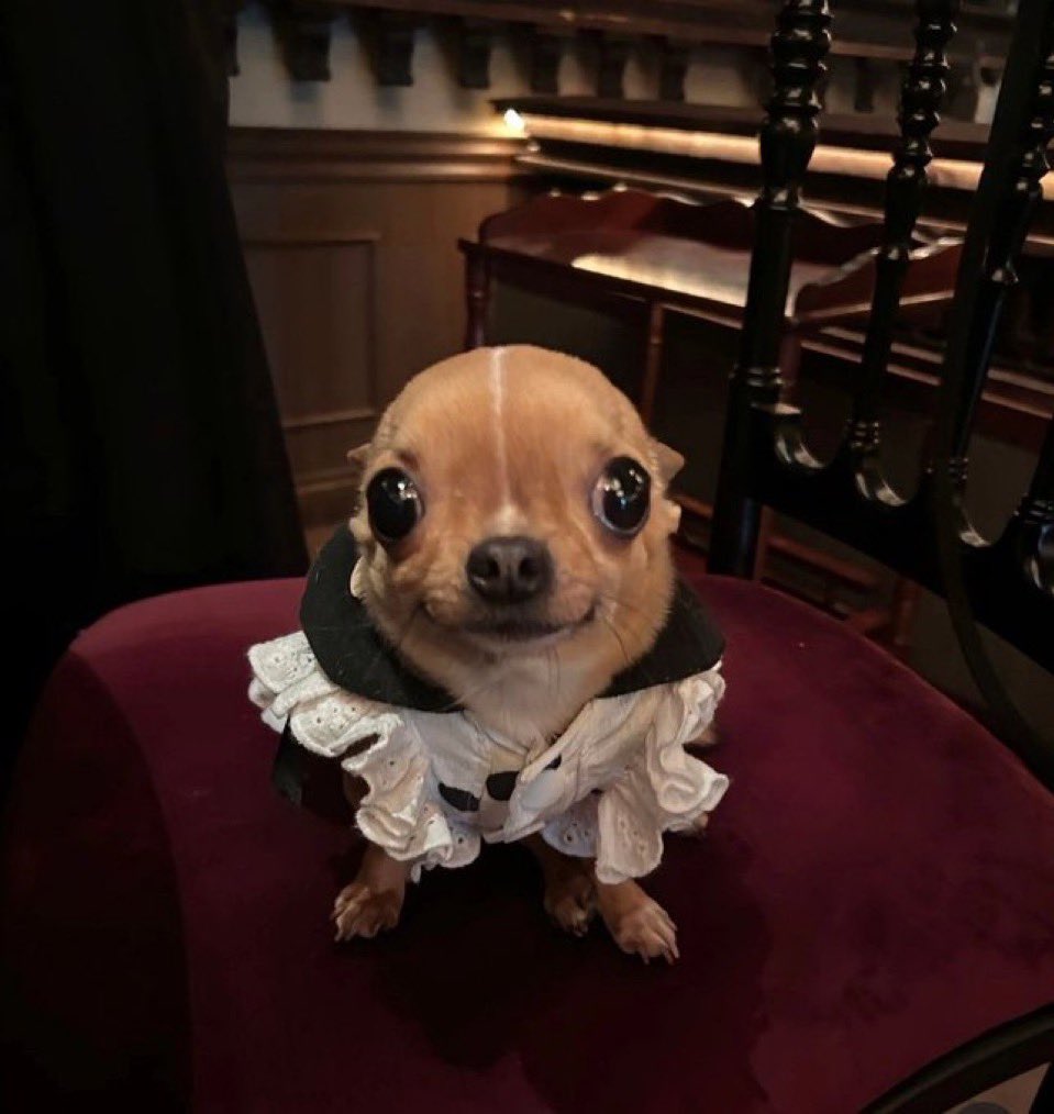 お帰りなさいませご主人様、後でエサください