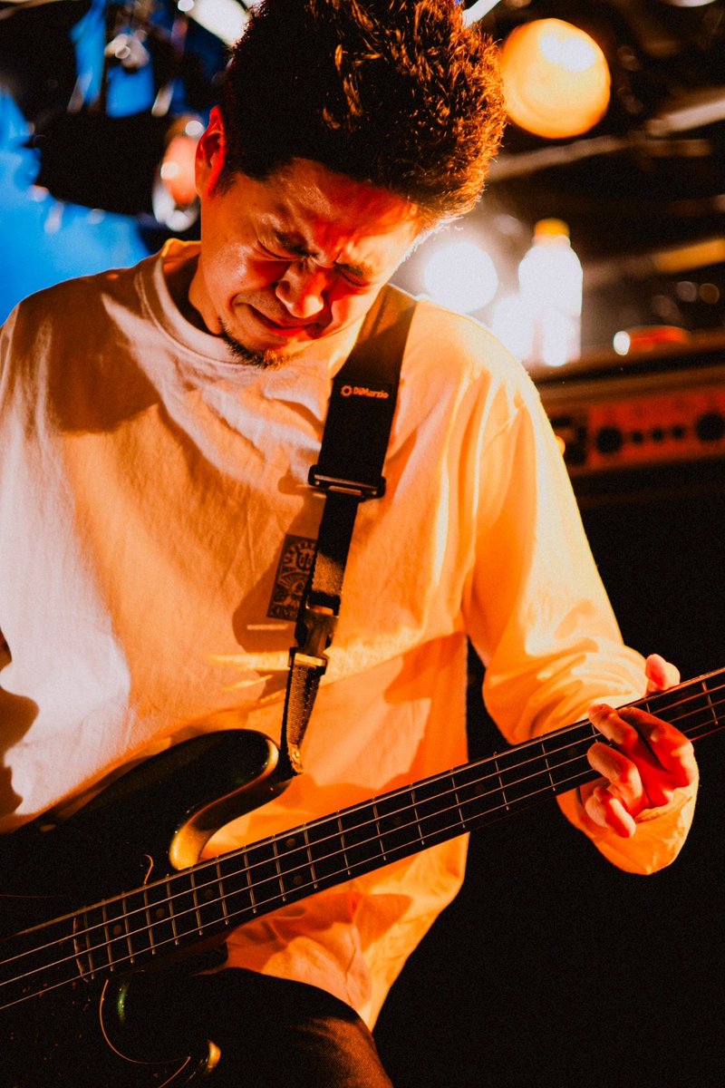 メメフェス2026 tweet media