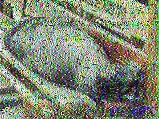 Day_Tripper0's tweet photo. #GALAPAGOS_UTE_SWSU #HC1PX
passed at 2026-02-22 11:41 over Omihachiman Japan PM85ac
Recieved 1 picture but week sig. with low elevation.
#amsat #hamradio #hczsatlog https://t.co/tmuhuY1AGl