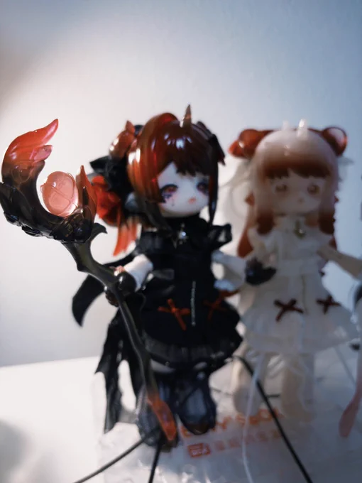 あまりにかわいすぎて双子のドールをお迎えしてしまいました 黒白ペアには抗えない 本当にかわいすぎる~~これから大切に愛でよう 名前はアンとドゥです