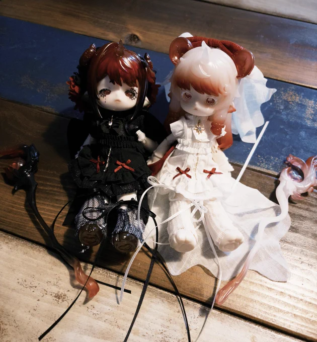 あまりにかわいすぎて双子のドールをお迎えしてしまいました 黒白ペアには抗えない 本当にかわいすぎる~~これから大切に愛でよう 名前はアンとドゥです