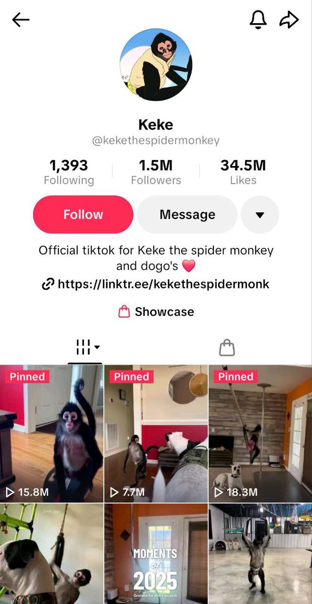 $Keke

Central America's viral spider monkey  🐵

The monkey meta is strong.  Keke wants to know if you love her and if you're riding.

She deserves the moon.

tiktok.com/@kekethespider…

CA: 
CB6JWMznThKcmbjUvK1YpnY8s57VyEc19D25Eza5pump