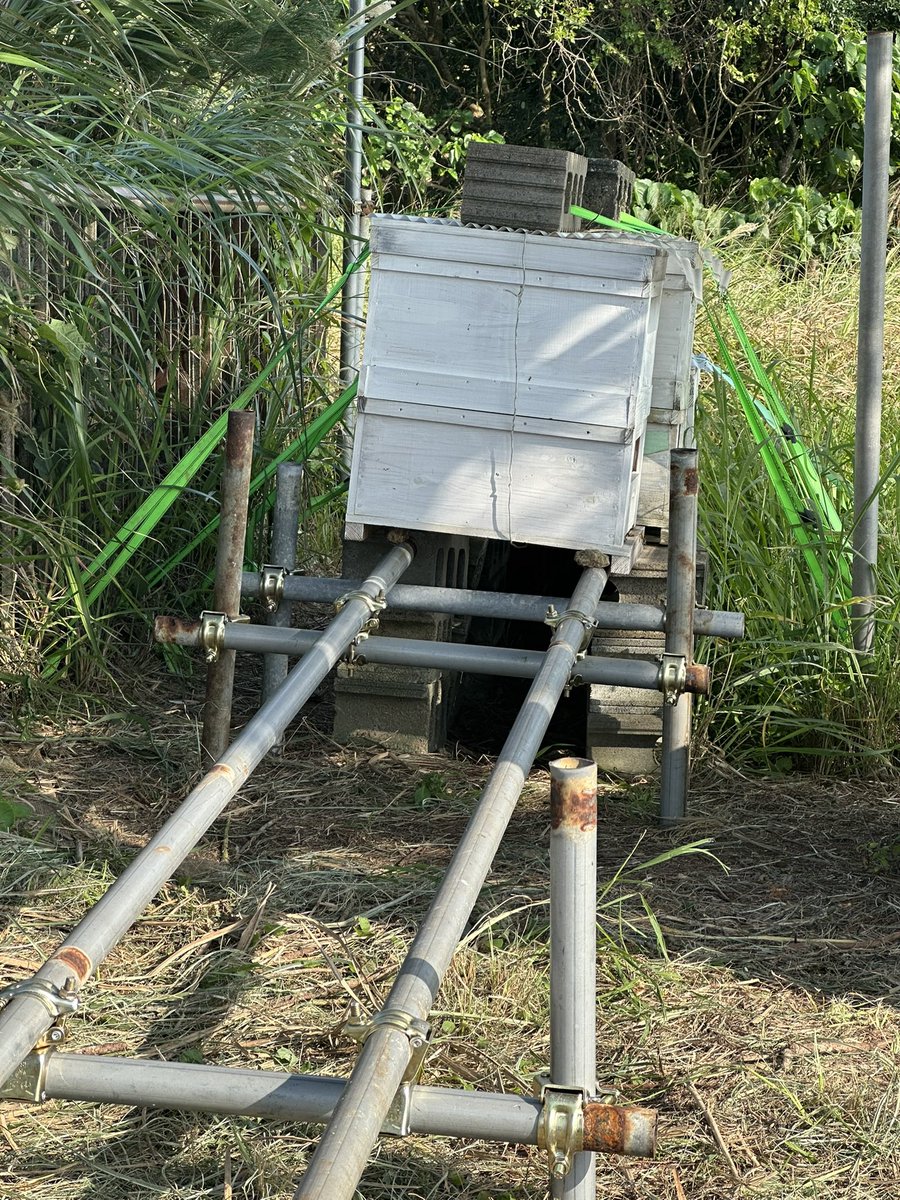 Ishigaki FT8 Station | JS6UJK tweet media