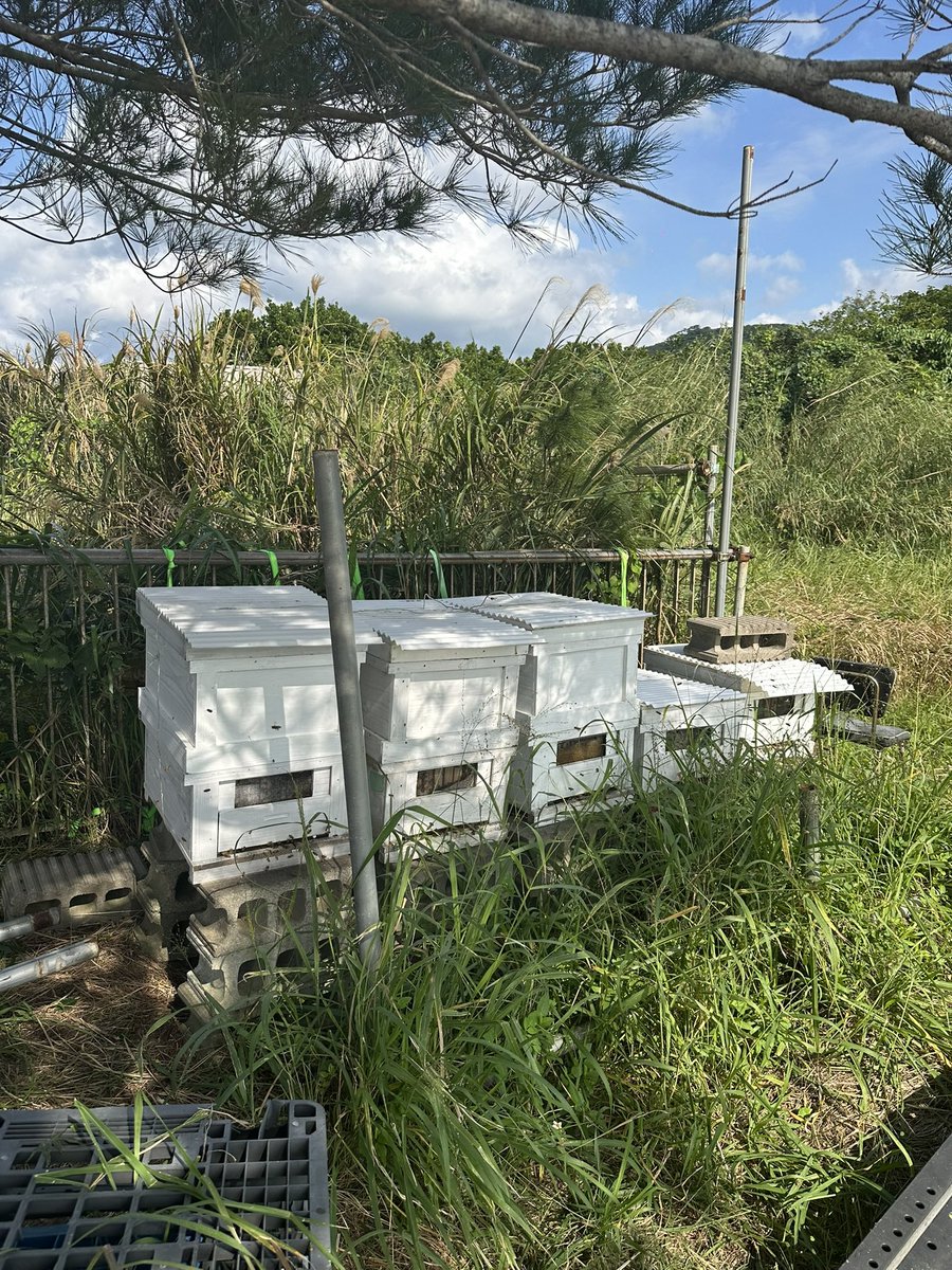 Ishigaki FT8 Station | JS6UJK tweet media