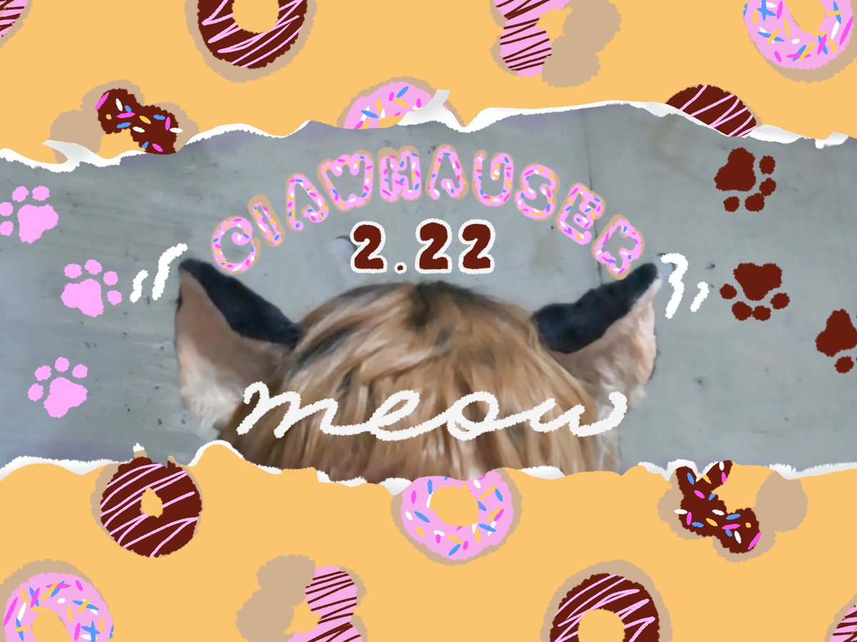 【Cosplay / コスプレ】 ⚠擬人化  

🍩ŧ‹”ŧ‹”ŧ‹”ŧ‹”ŧ‹”ŧ‹”ŧ‹”ŧ‹”ŧ‹”ŧ‹”ŧ‹”ŧ‹”🍩

　　　　   🐾ネコ"科"の日🐾

🍩ŧ‹”ŧ‹”ŧ‹”ŧ‹”ŧ‹”ŧ‹”ŧ‹”ŧ‹”ŧ‹”ŧ‹”ŧ‹”ŧ‹”🍩