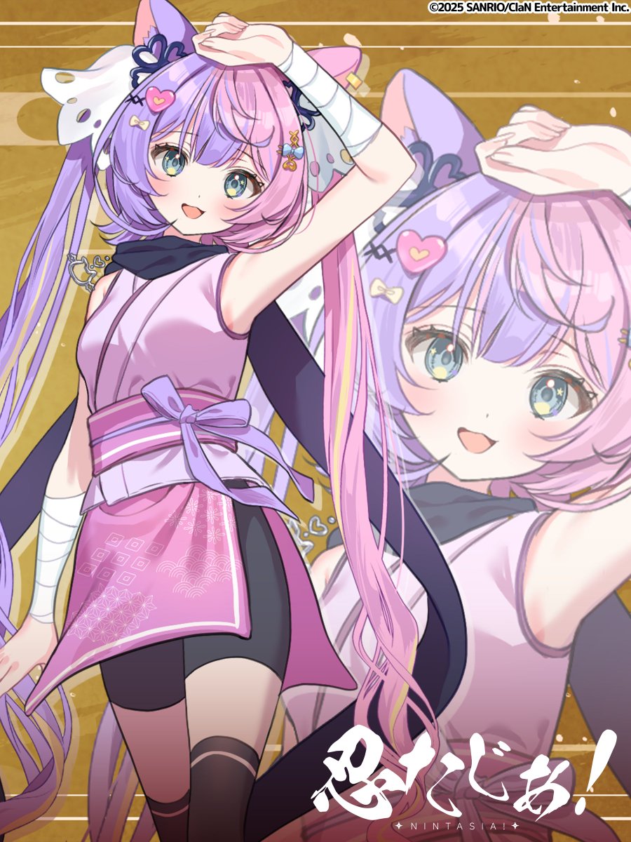 猫の日だけじゃなくて、忍者の日でもあるんだって にゃんにゃんにゃん