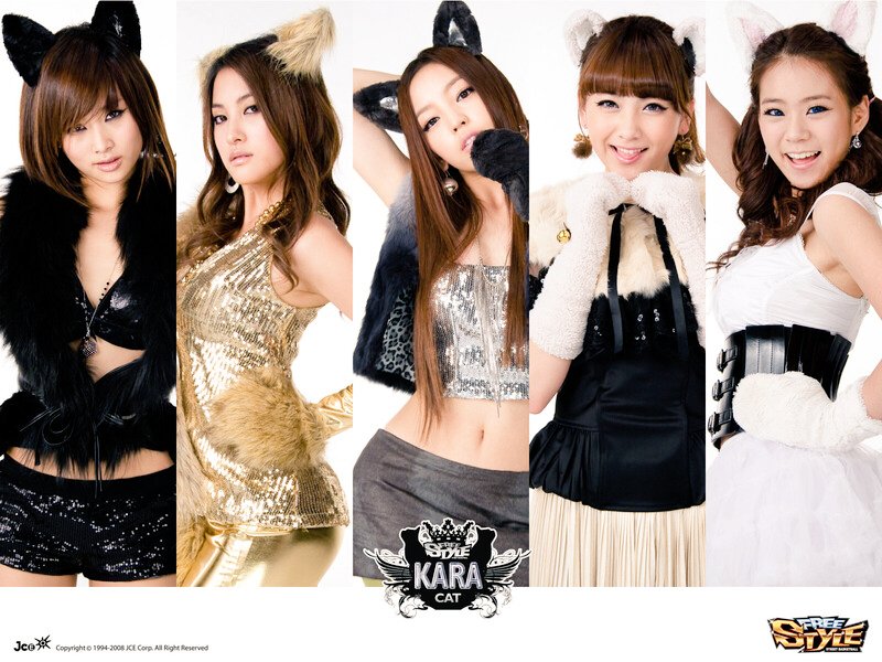 猫の日KARA 😺😺😺😺😺

#KARA