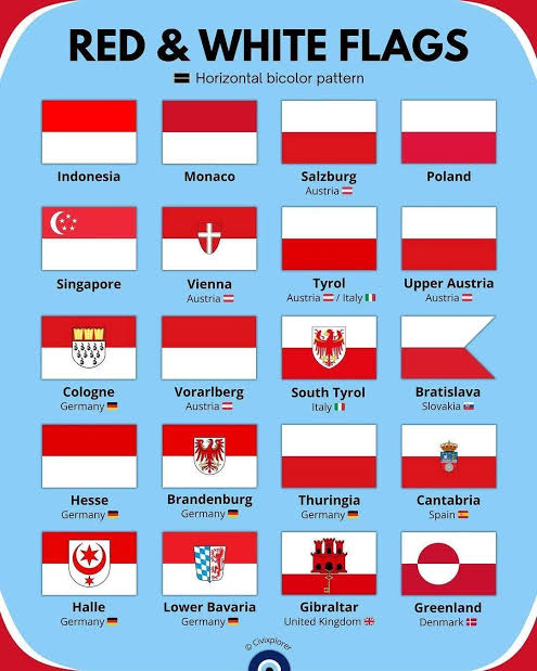 this flag could be any flag bro 😭