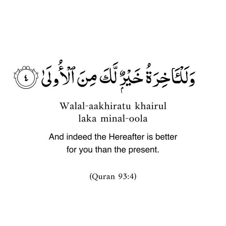 Muslim Ummah (@muslim_ummah_4) on Twitter photo 