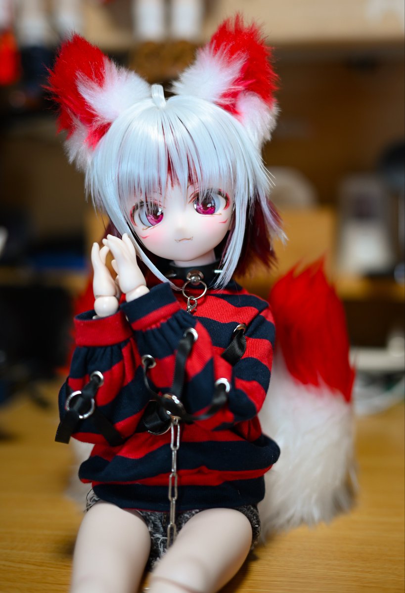 🦊💕 #ころっこ