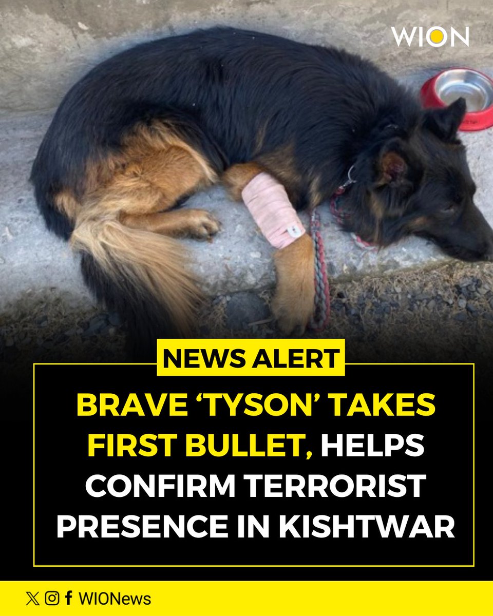 Indian forces neutralise terrorists in J&amp;K. A sniffer dog with the 2 Para SF of the Indian Army, was the first to detect terrorists in J&amp;K's Kishtwar. Shot in the leg while leading the advance, he continued the mission despite his injury.