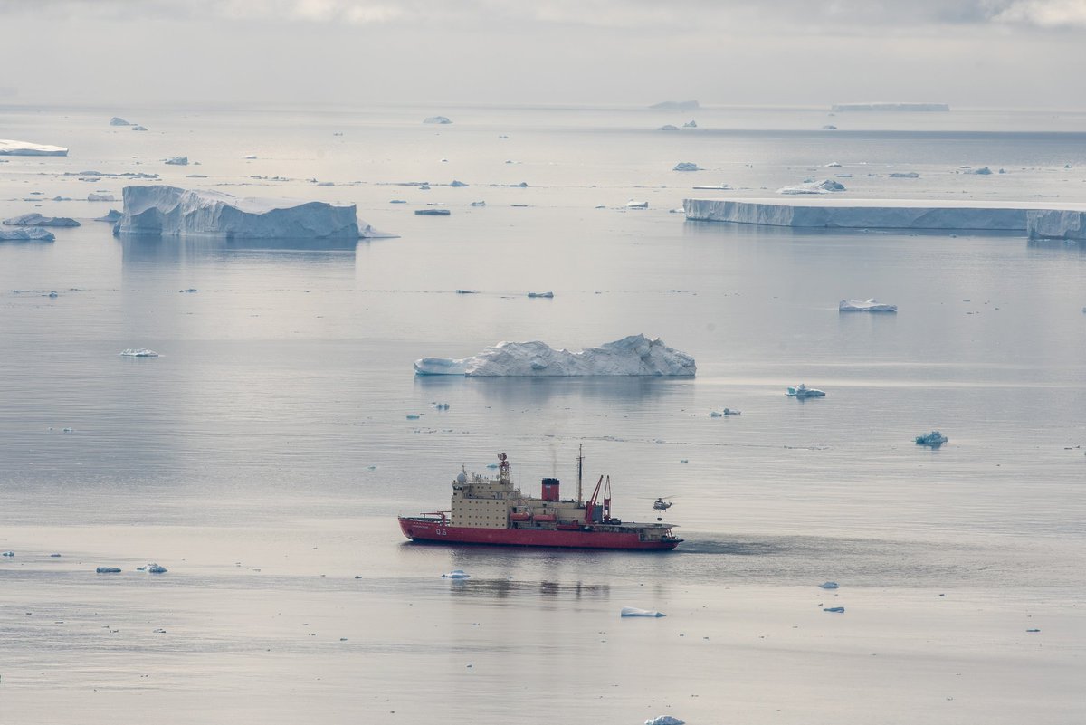 Somos ciudadanos del fin del mundo tweet media