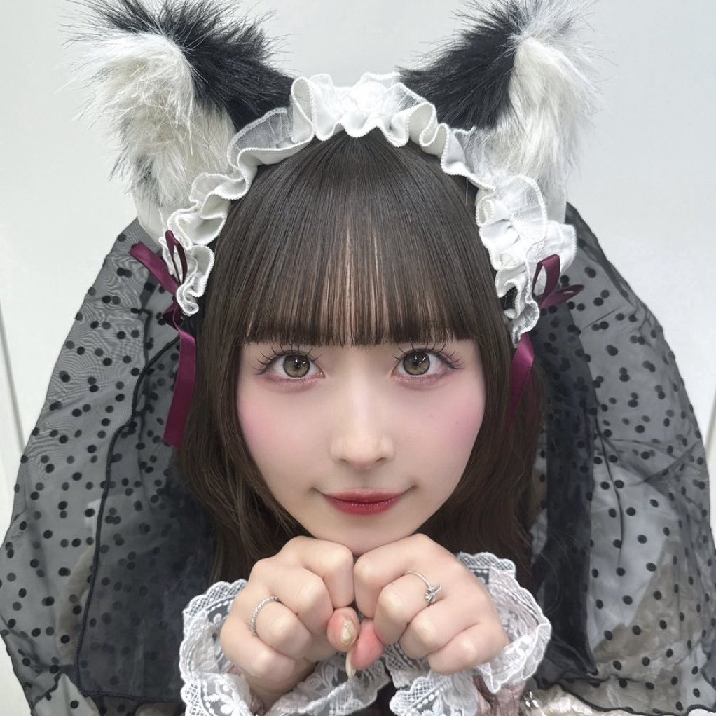 nigeamuhibikun's tweet photo. 猫の日なのでうちの猫ちゃんずどぞ
#きゅるりんってしてみて 
#猫の日 https://t.co/Q2E440bSCY