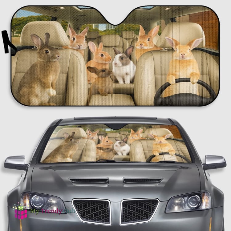 At last i got Rabbit Car Sunshade ! It makes me smile ❤️ But nobody appreciates it on my timeline so i'm hoping my level of cool will be admired here) 💞❤