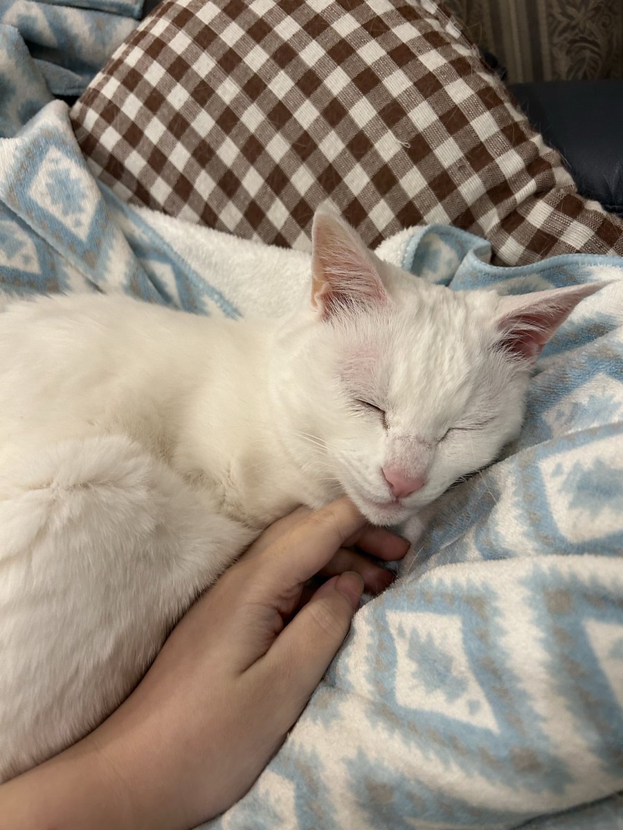 ちおちゃんの日 