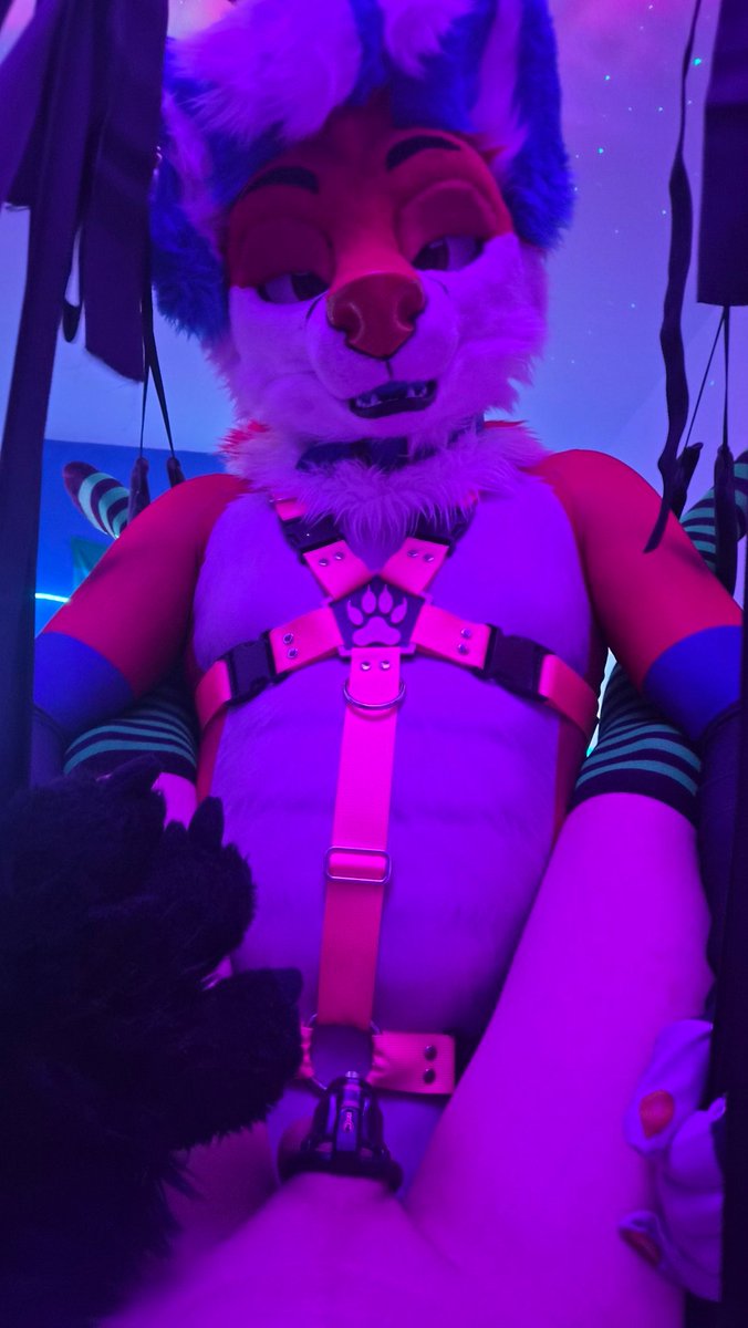 Reekey AD 🔞 tweet media