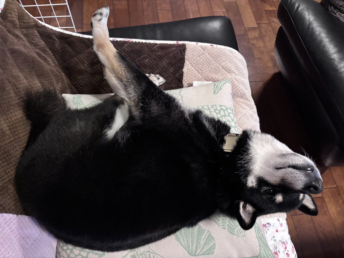 うーん　明日も休みなんて幸せ😚