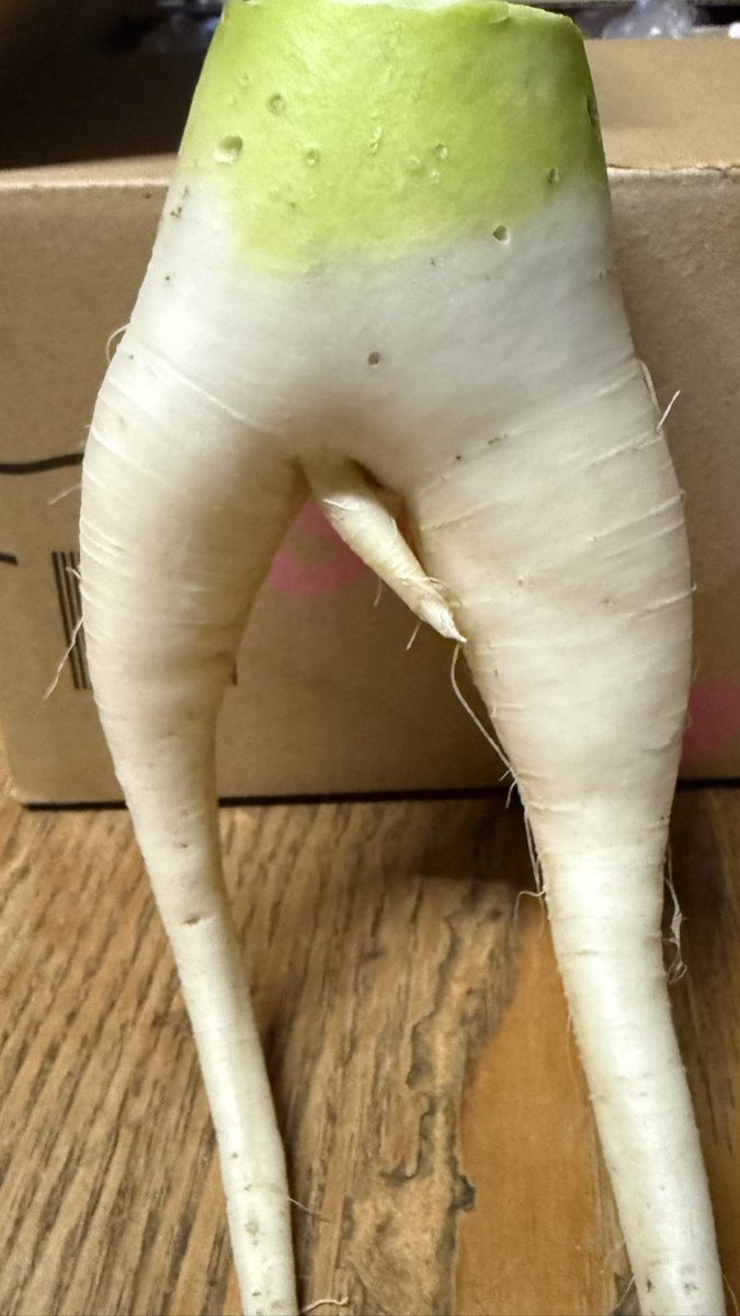 梅干し tweet media