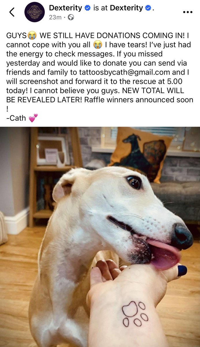 Hector’s Greyhound Rescue tweet media