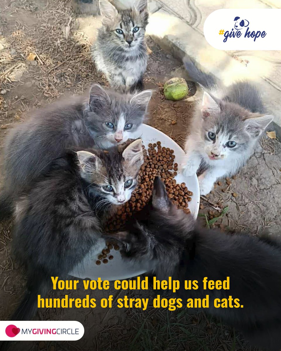 ROLDA Org tweet media