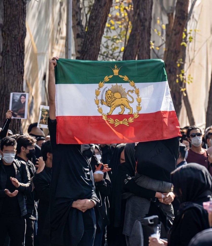 موژی tweet media