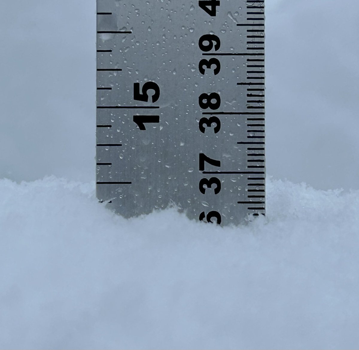 36.2cm of snow as of 8:30am in Paradise this morning.  My heated rain cone is measuring 28.0mm water equivalent.  4.6cm accumulation of snow in the last hour.  #NLwx