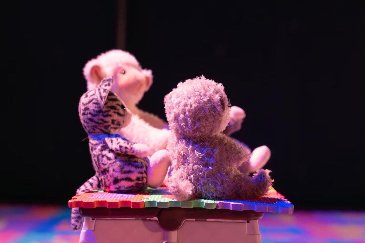 猫の日ですね🐱🐾