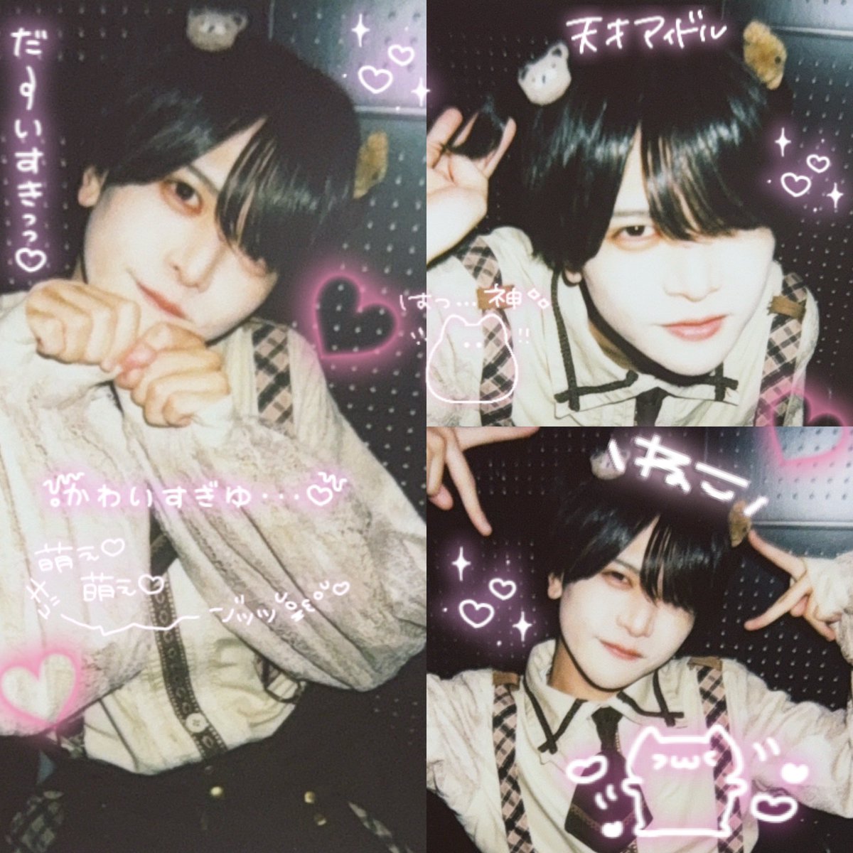 ここちゃん。 (@coco_nyanta) / Posts / X