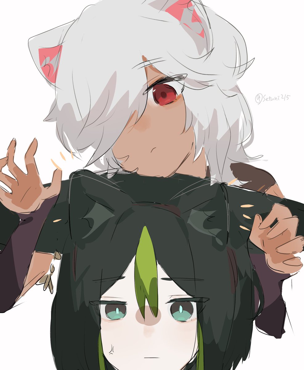 耳が多いよ…
#猫の日 #セノ #ティナリ