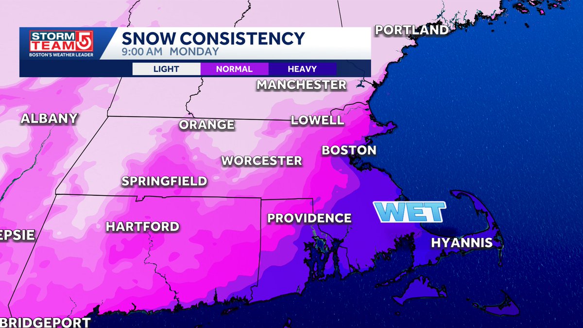 Kelly Ann Cicalese tweet media