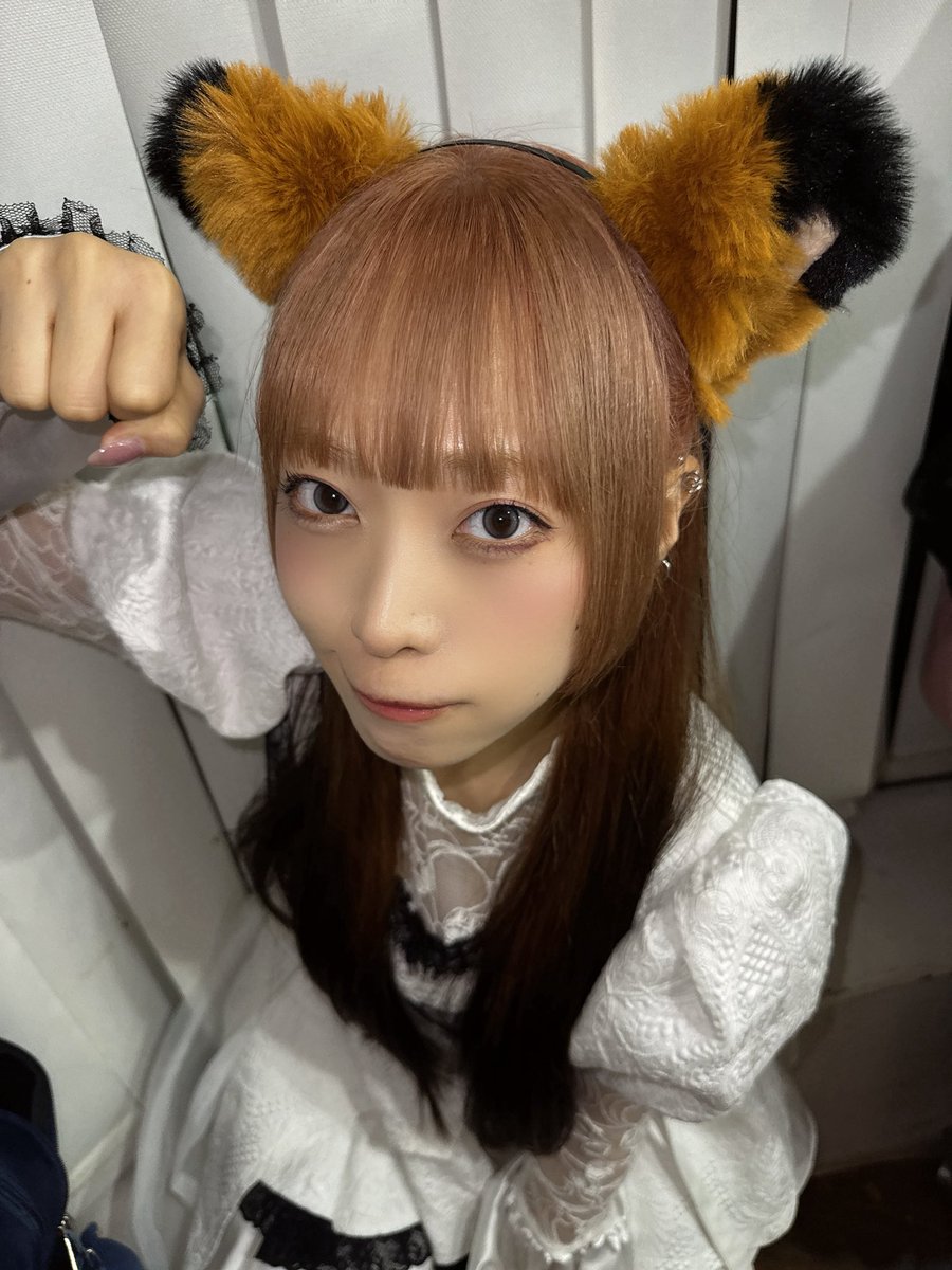 ネクストカルチャーズ -ニャンニャンニャン🐈猫の日編- ありがとうご