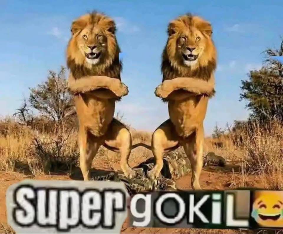 ۫⛧ִֶָ Yoshi♆.ᐟ raja vampire𓆩🧛𓆪 tweet media