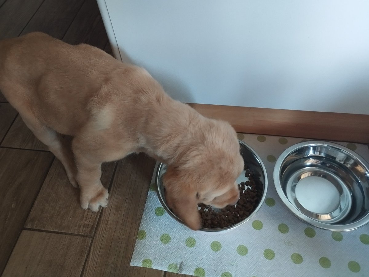 riccardo cucchi tweet media