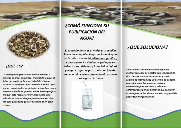 <a href="/OJOVENE/">vision 360 IA</a> <a href="/JoseHer63743351/">Jose Hernandez</a> Ese es un efecto similar al  que logran otros pueblos usando la Moringa para purificar el agua