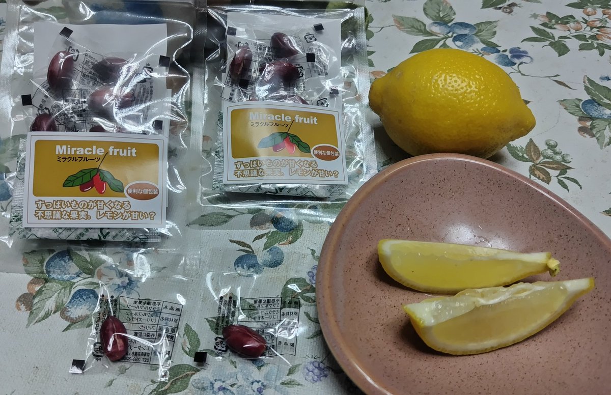 Bunny団長の勝手に実験タイム！🧑‍🔬 今日はアマゾンでゲットした