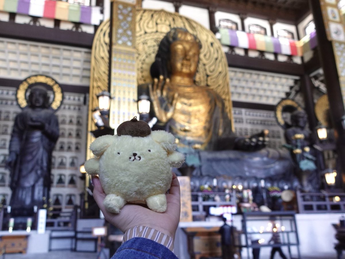 でかい大仏みに行ったら、 ぽむちもでかいよってアピってきた