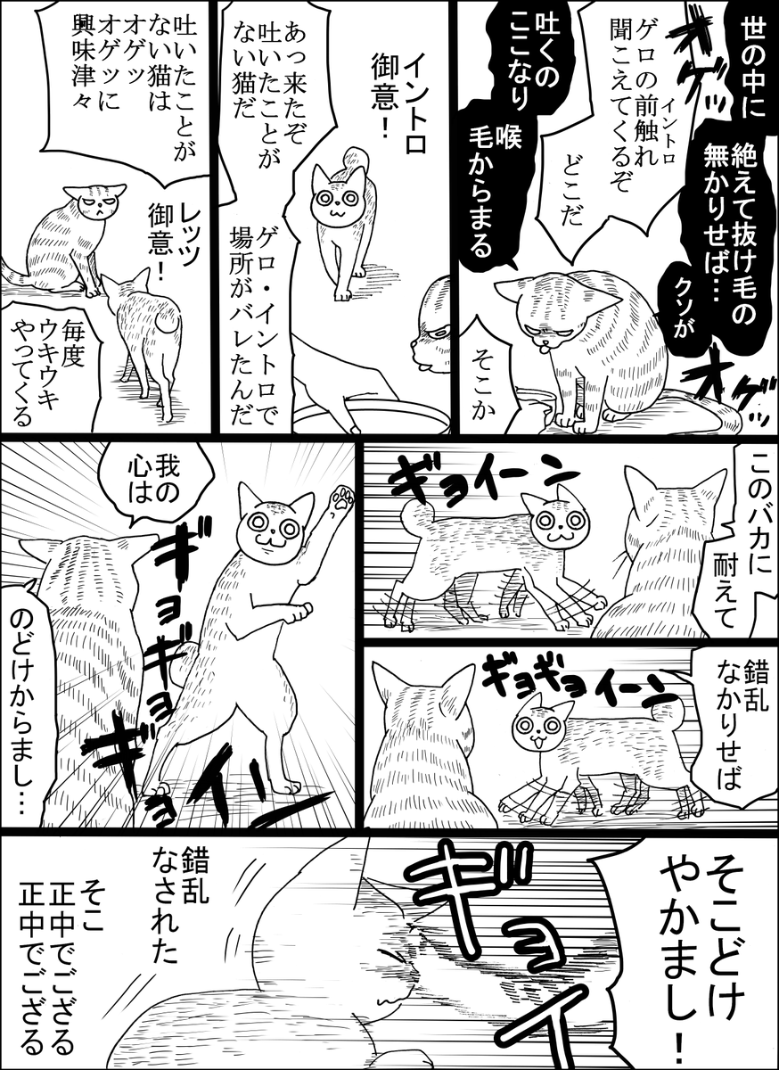 4RewJJOmWiLzR7L's tweet photo. 御意と先輩と私 https://t.co/gGgber3fca