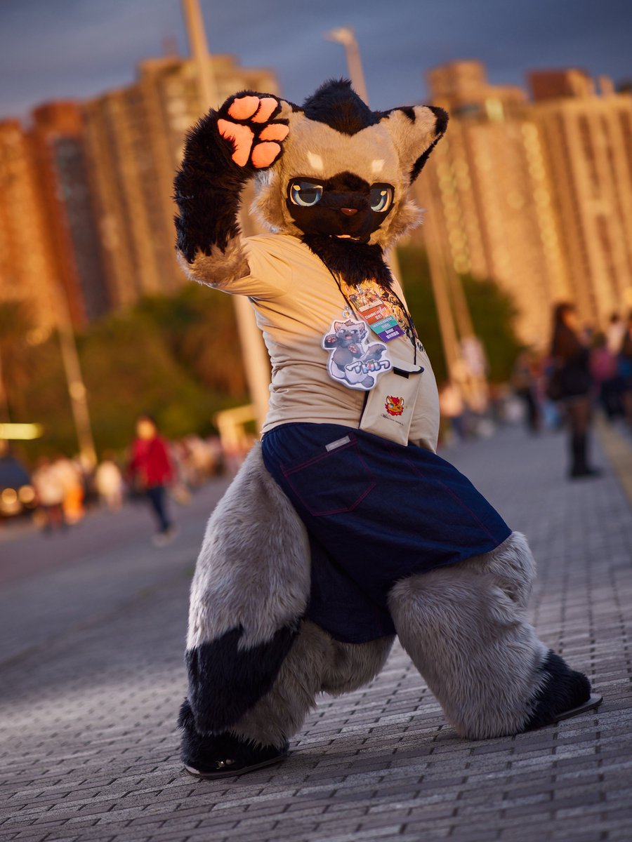 シャオミー/xiaomiao (@xiaomiao333) / Posts / X