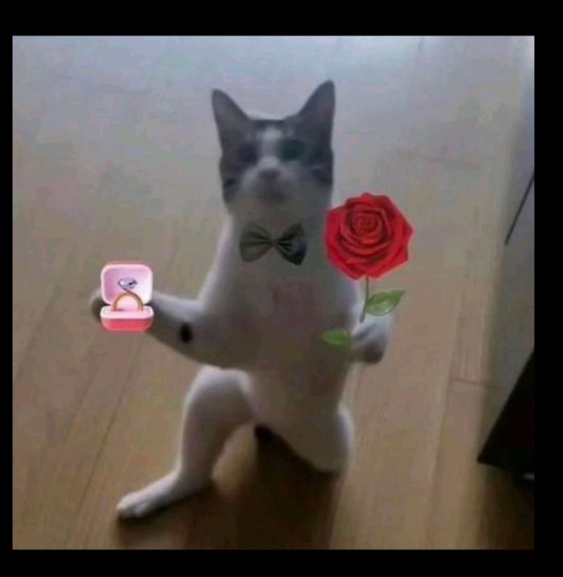 Will you be my mutual 🌹🫣🫶