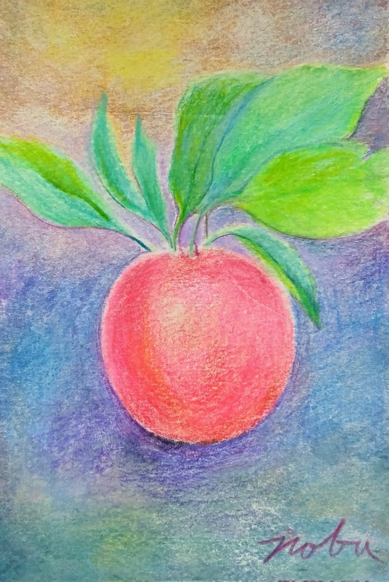 不思議なリンゴ  色鉛筆画  ハガキ絵展作品