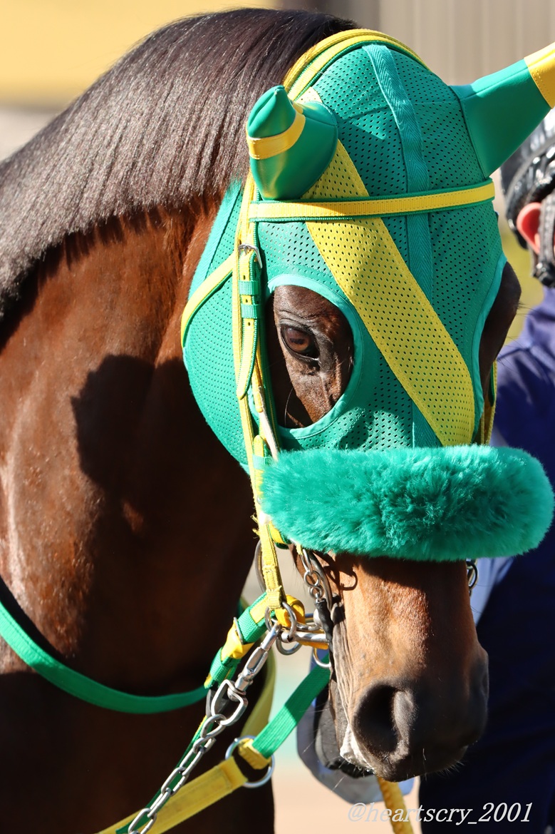 モッちゃん (@nib88vldu) / Posts / X