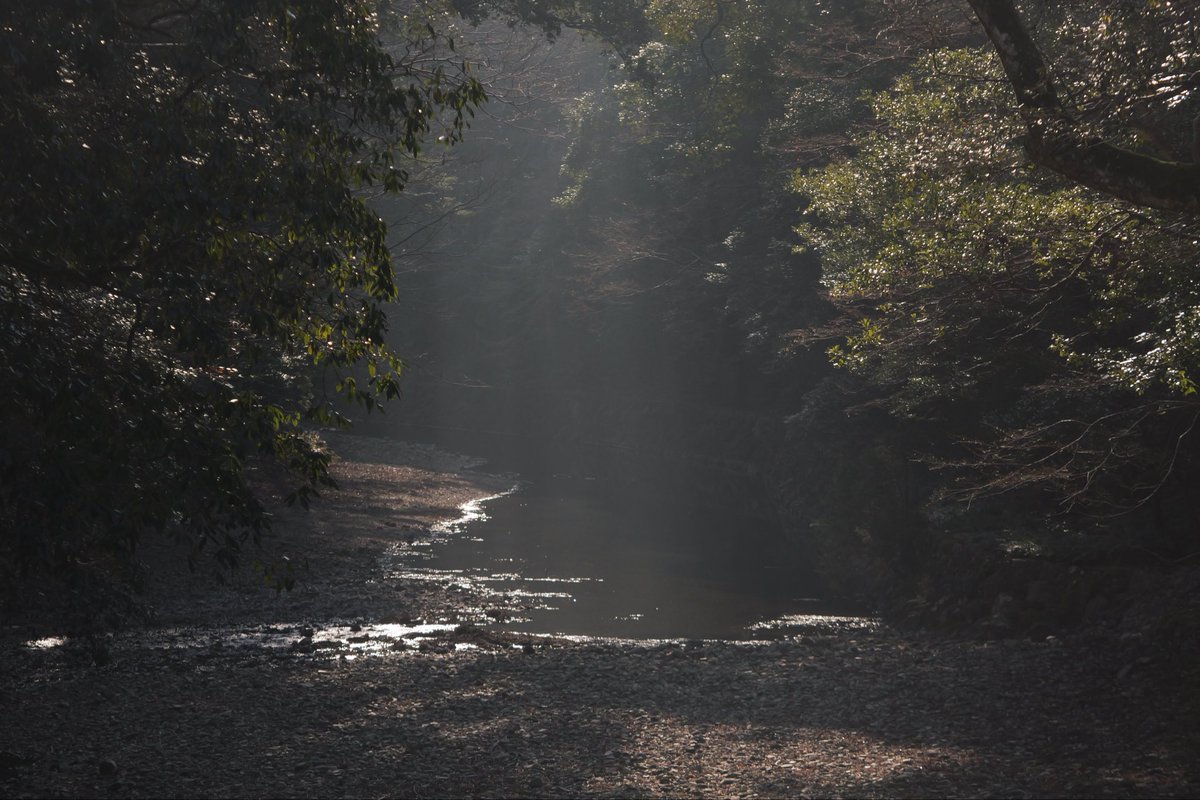 kamerawanko's tweet photo. 色々あって風景撮ってきました(*'▽'*)動画と作風違うかもしれませんが実は写真好きです(*'▽'*) https://t.co/F4thbi4f89