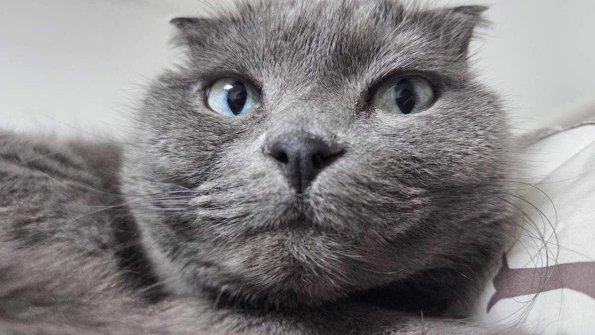 우당탕 탄이네 (@kimtan_s2) on Twitter photo 